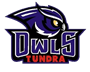 Tundra Owls