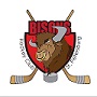 Bisons