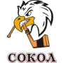 Сокол 20 12