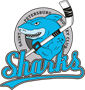 Sharks-2
