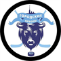 Городские Бизоны-2