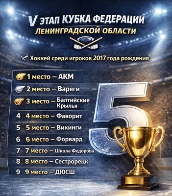 V этап Кубка Федерации Ленинградской области среди игроков 2017гр